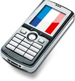 French Sim Card + Call + SMS + Internet